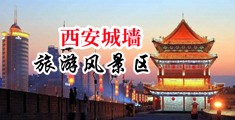 骚妇性网站中国陕西-西安城墙旅游风景区