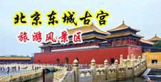 大鸡巴插美女免费中国北京-东城古宫旅游风景区