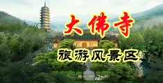 骚货就是骚货水真多在线播放中国浙江-新昌大佛寺旅游风景区